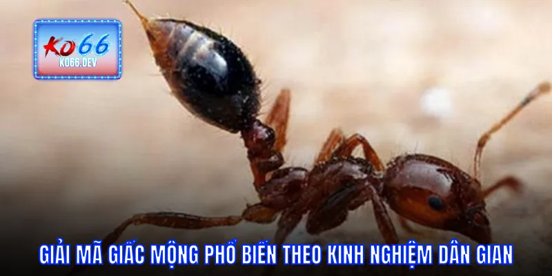 Giải mã giấc mộng phổ biến theo kinh nghiệm dân gian