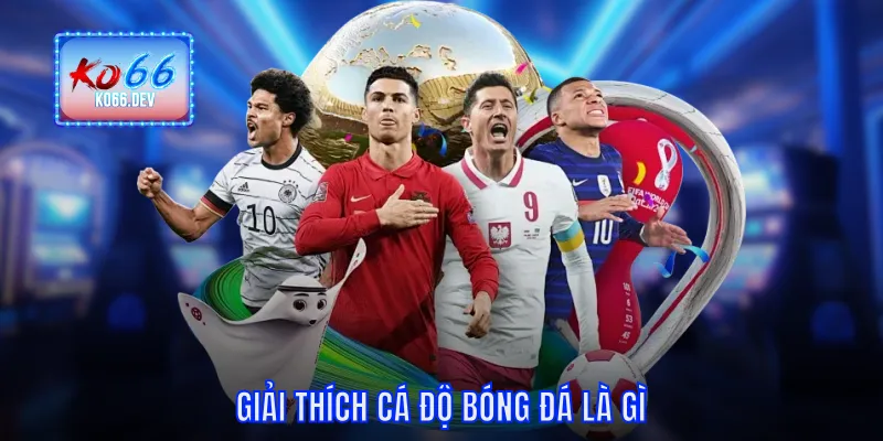 Giải thích cá độ bóng đá là gì