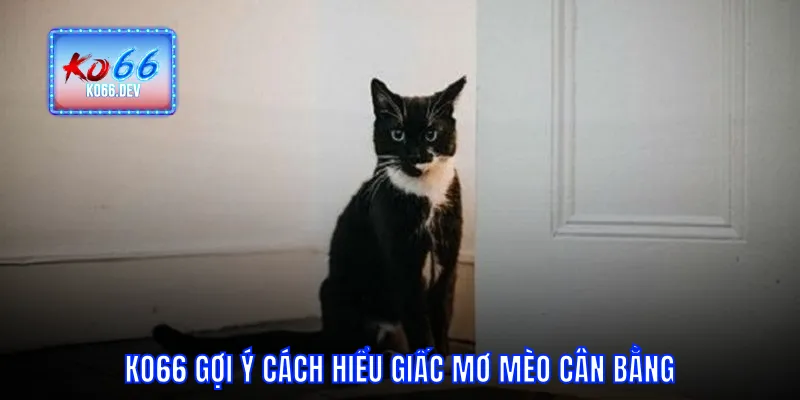 KO66 gợi ý cách hiểu giấc mơ mèo