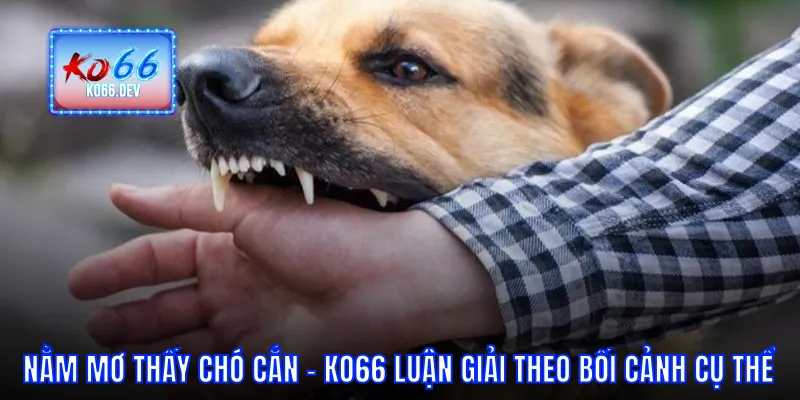 Nằm mơ thấy chó cắn