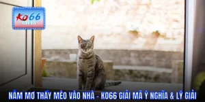 Nằm mơ thấy mèo vào nhà