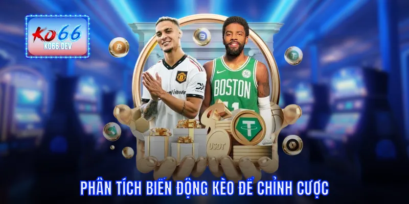 Phân tích biến động để chỉnh cược